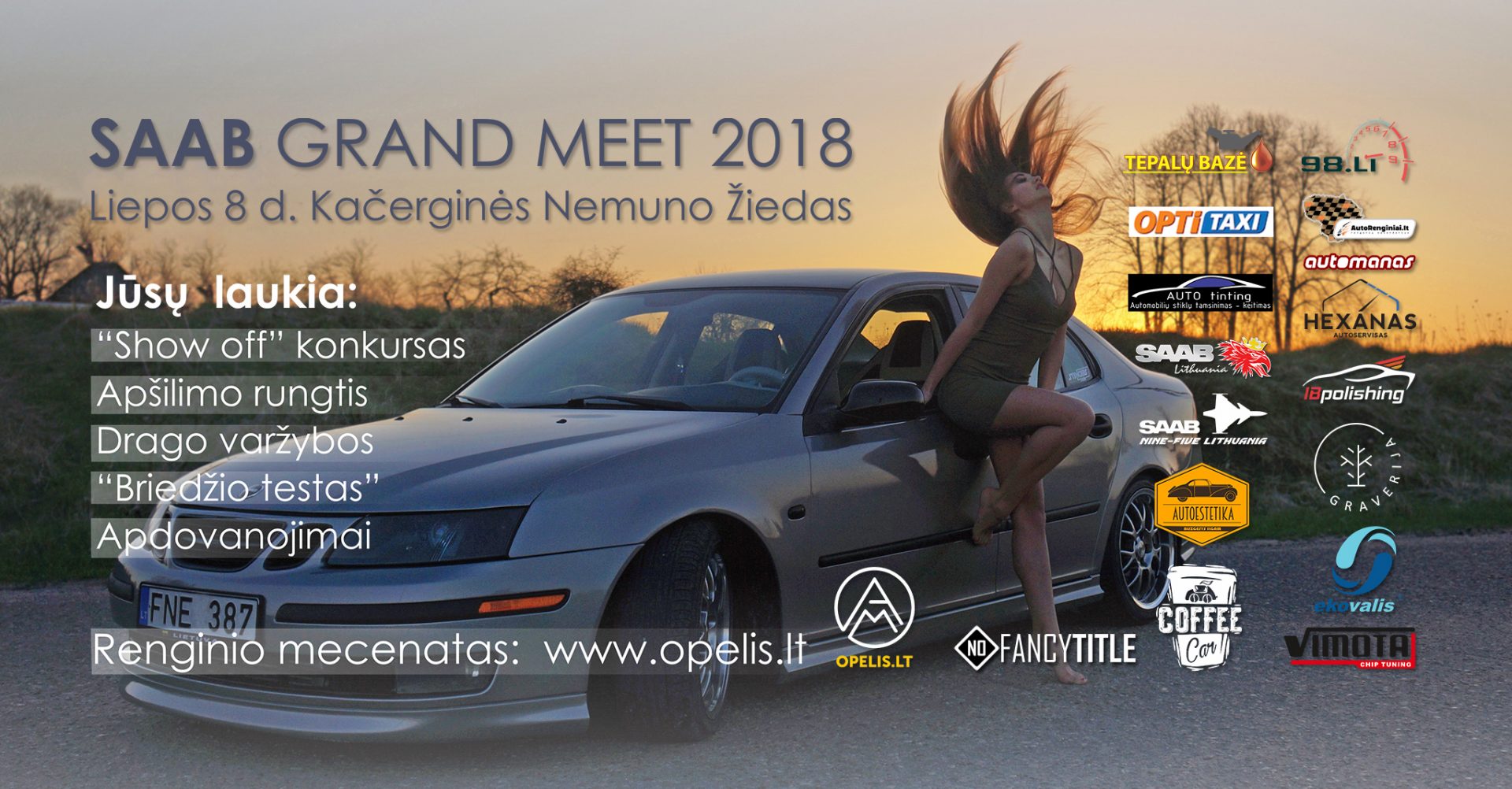 SAAB Grand Meet 2018