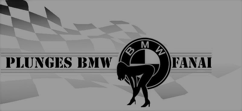 Plungės BMW fanų susitikimas