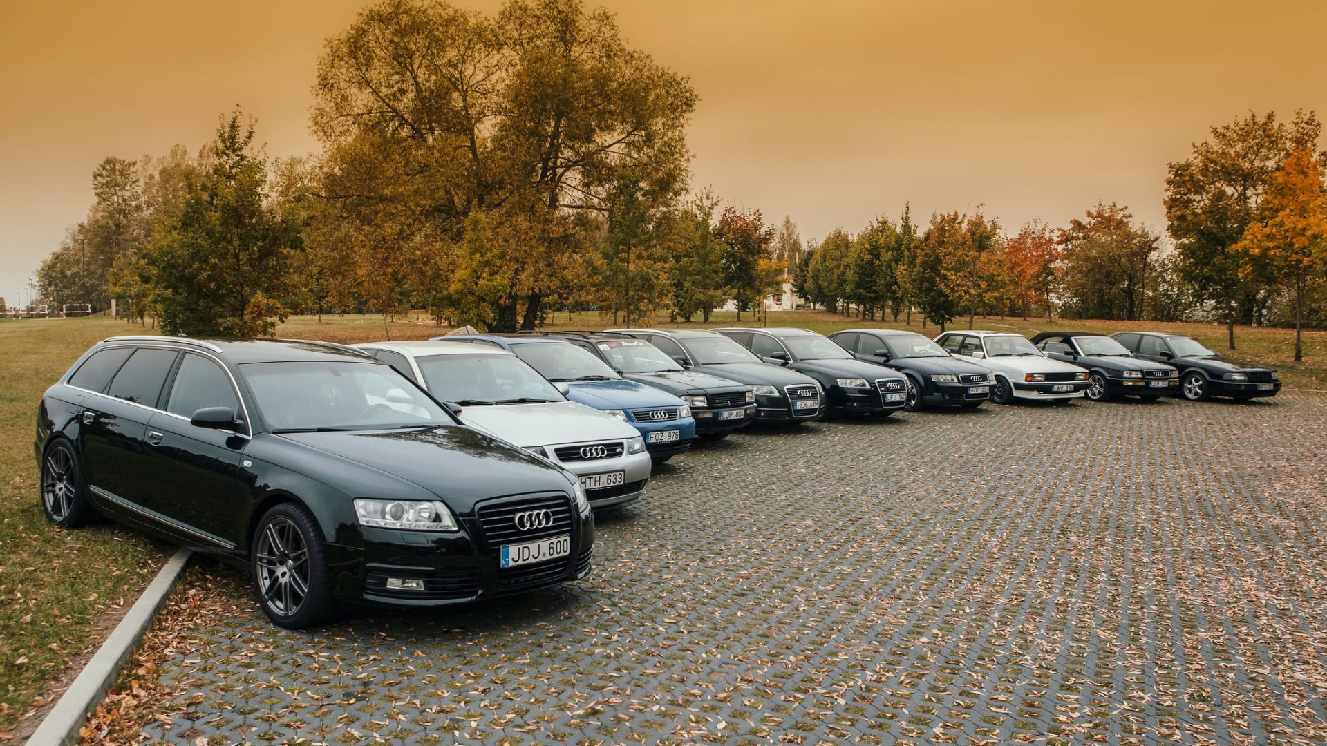 Panevėžio Audi Klubo šiltojo sezono uždarymas